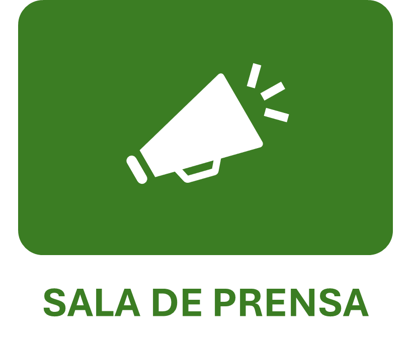imagen_2026-05-22_174429579